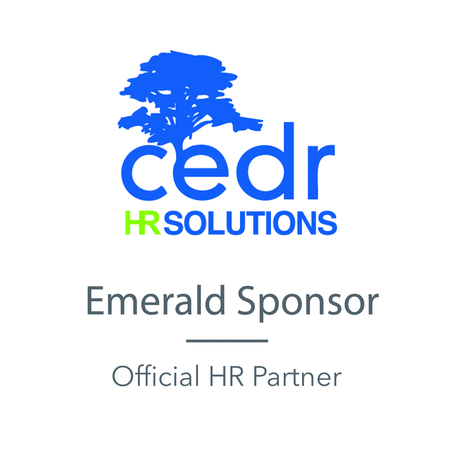 Logo for CEDR Solutions